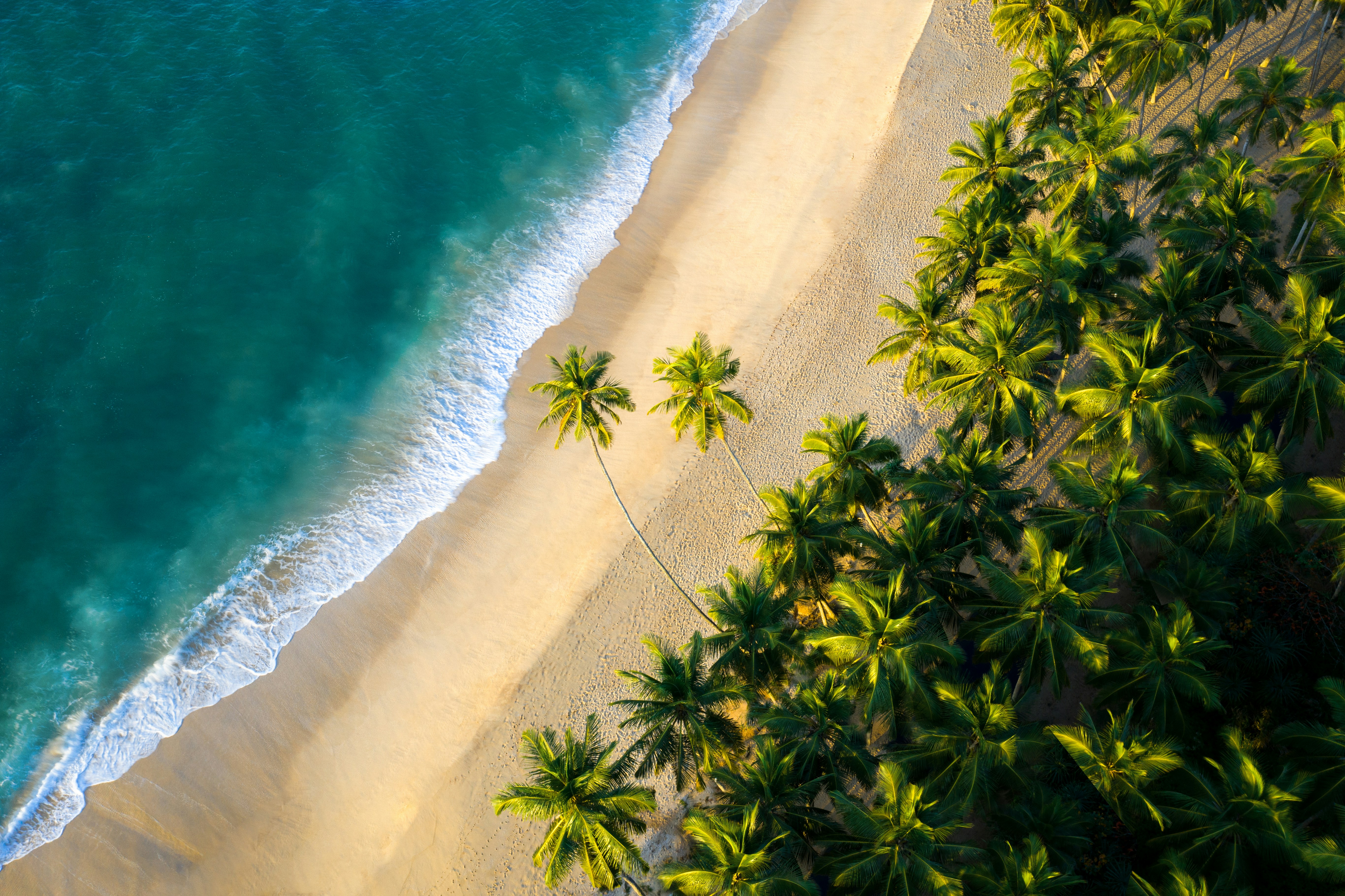 Sri Lanka Holiday Tour Package